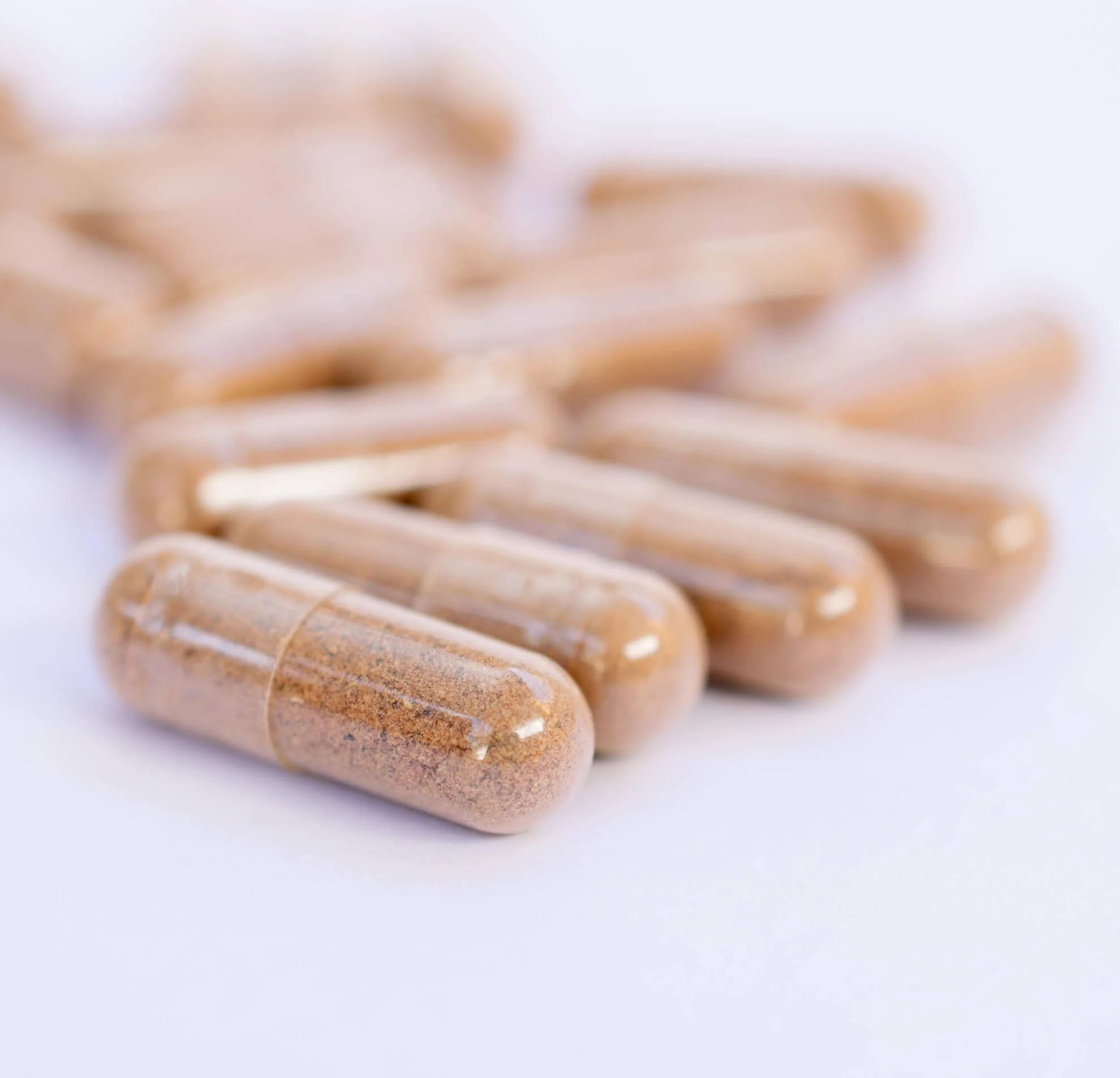 Buzdyganek naziemny 210 mg (Tribulus terrestris) 10:1, 95% saponin 100 kapsułek - Image 4