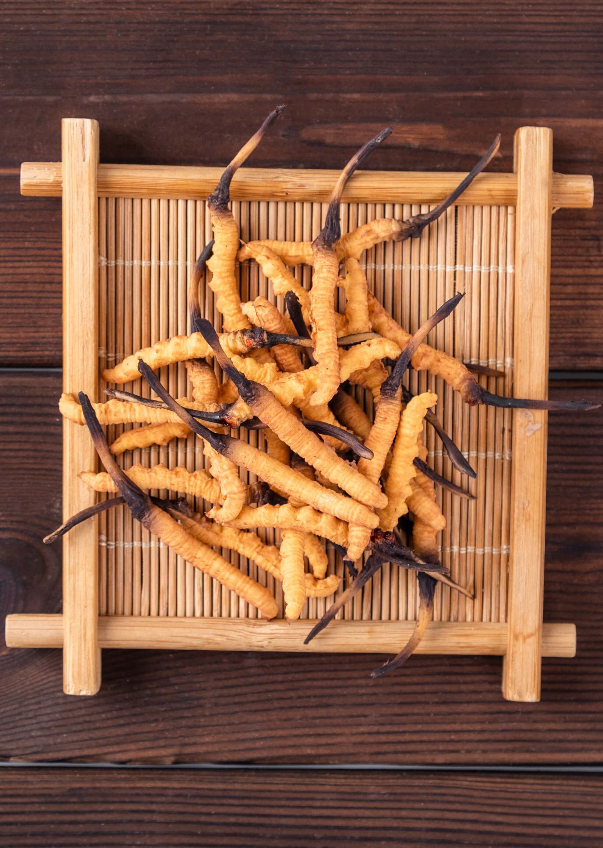 Cordyceps sinensis (Maczużnik chiński) DER 40:1 90 kapsułek 500 mg - Image 5